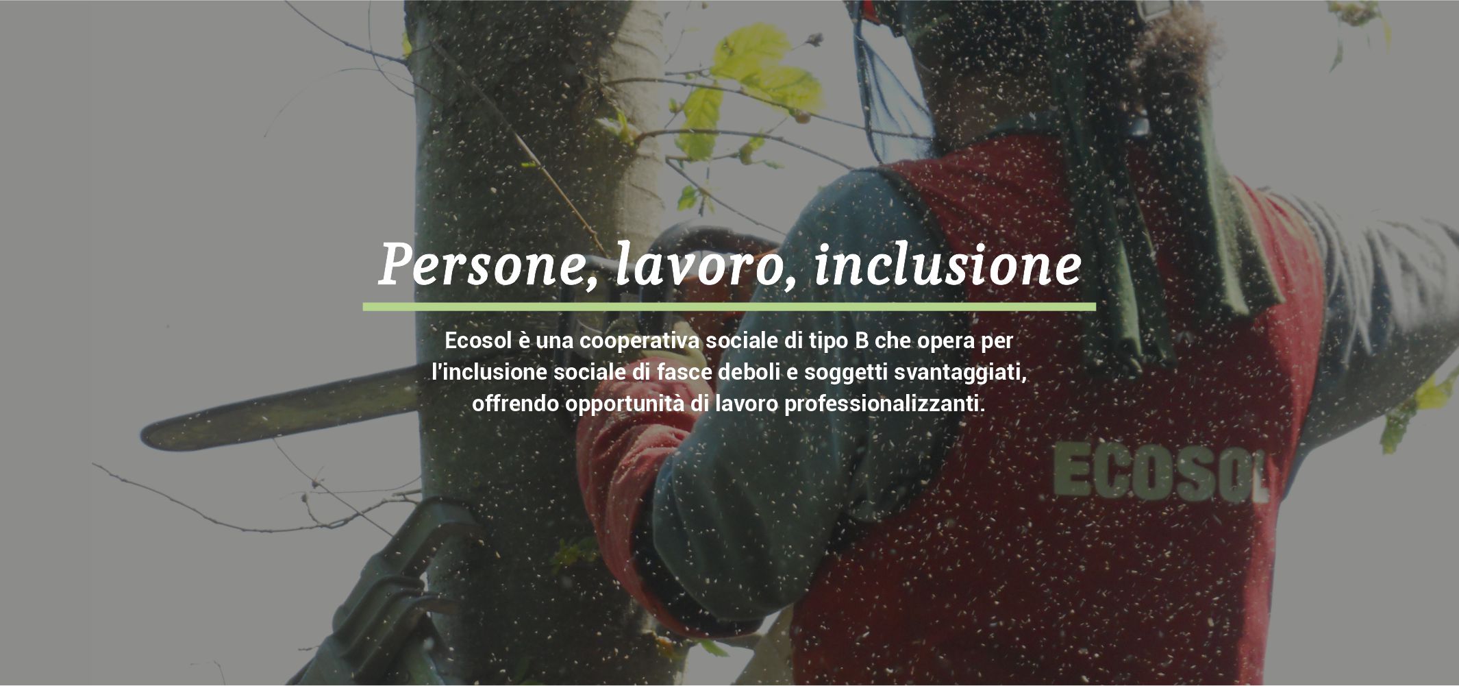 immagine_testata_homepage_prova1b