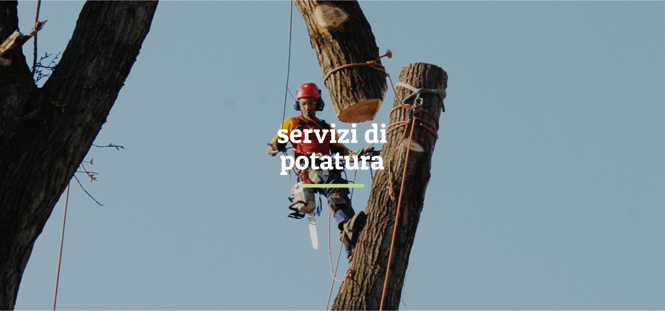 immagine_testata_potature_abbatimenti_arboricoltura_prova1a