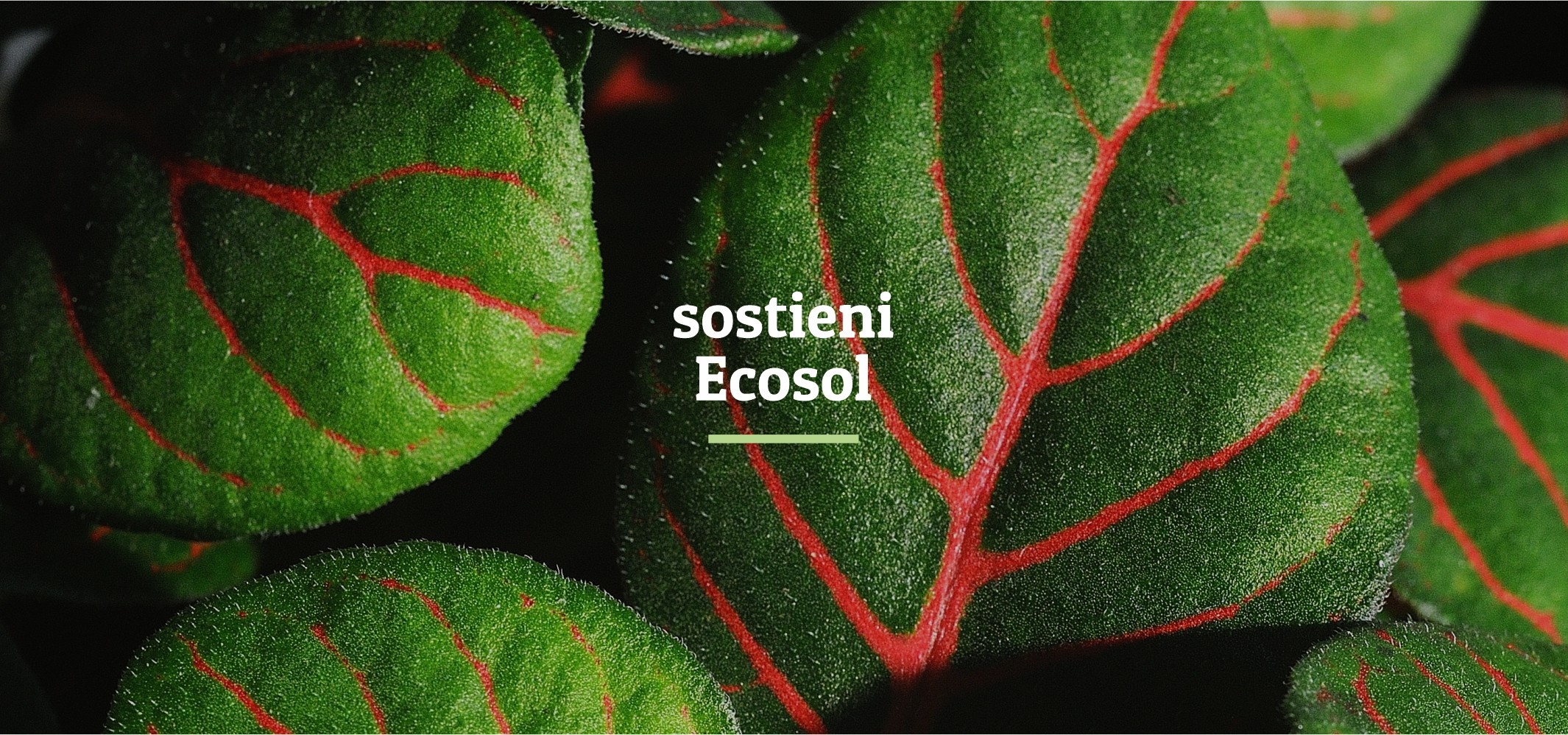 immagine_testata_sostienici_prova1a