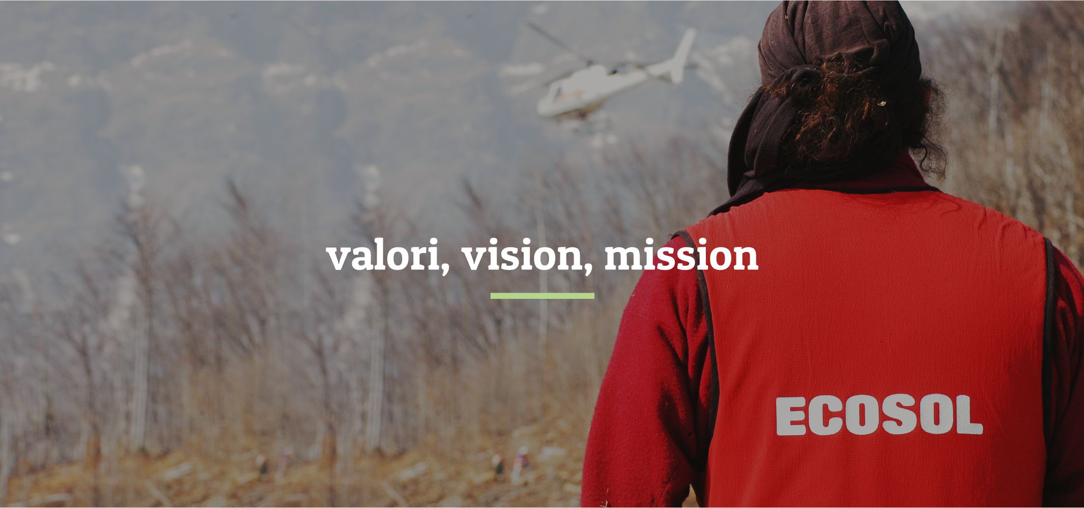 immagine_testata_valori_vision_mission_prova1a