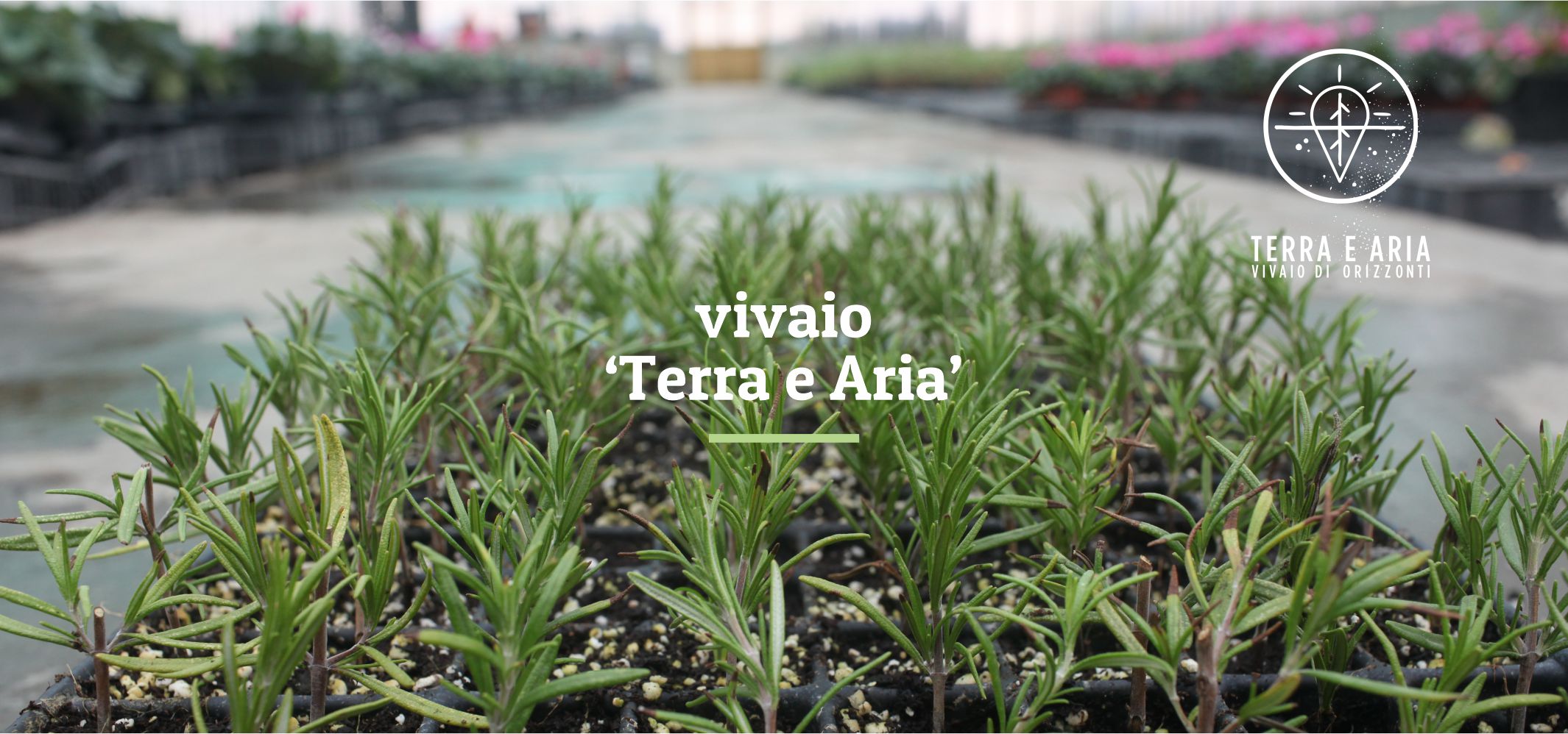 immagine_testata_vivaio_terra_e_aria_prova1a
