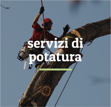 tassello_servizi_di_potatura_prova1a