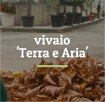tassello_vivaio_terra_e_aria_prova1a