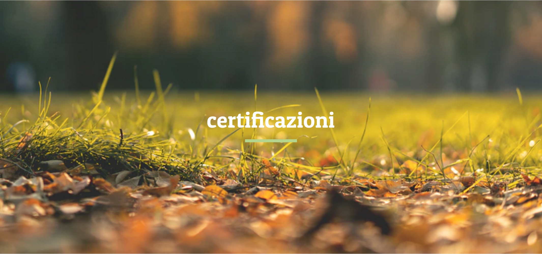 immagine_testata_certificazioni_prova1a
