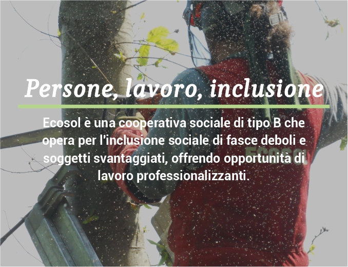 immagine_testata_homepage_mobile_prova1a