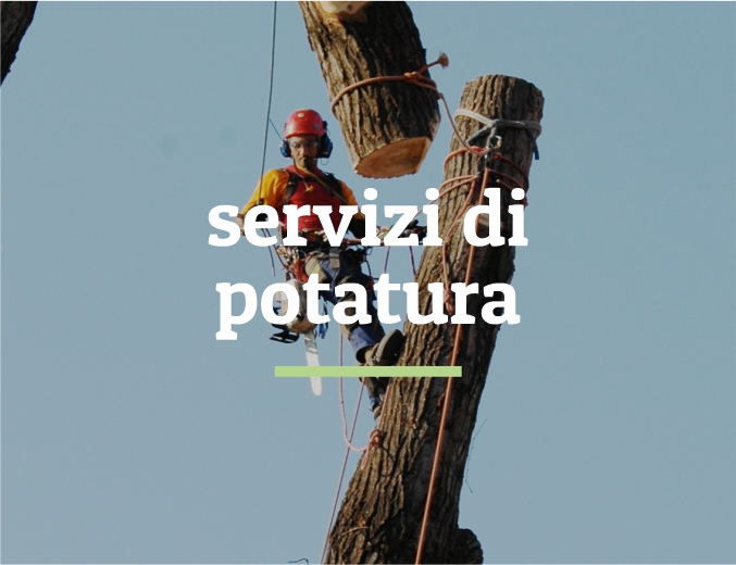 immagine_testata_potature_abbatimenti_arboricoltura_mobile_prova1a