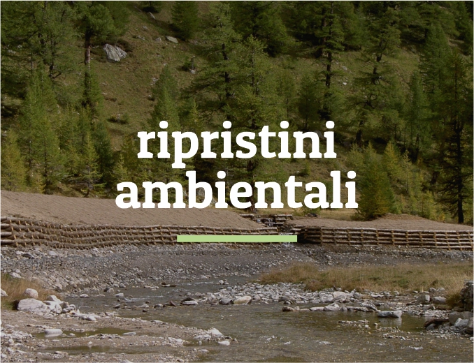 immagine_testata_ripristini_ambientali_mobile_prova1a