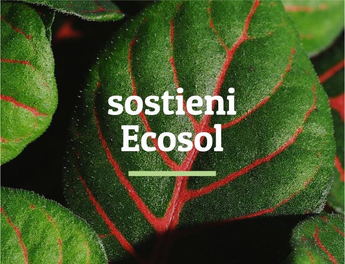 immagine_testata_sostienici_mobile_prova1a
